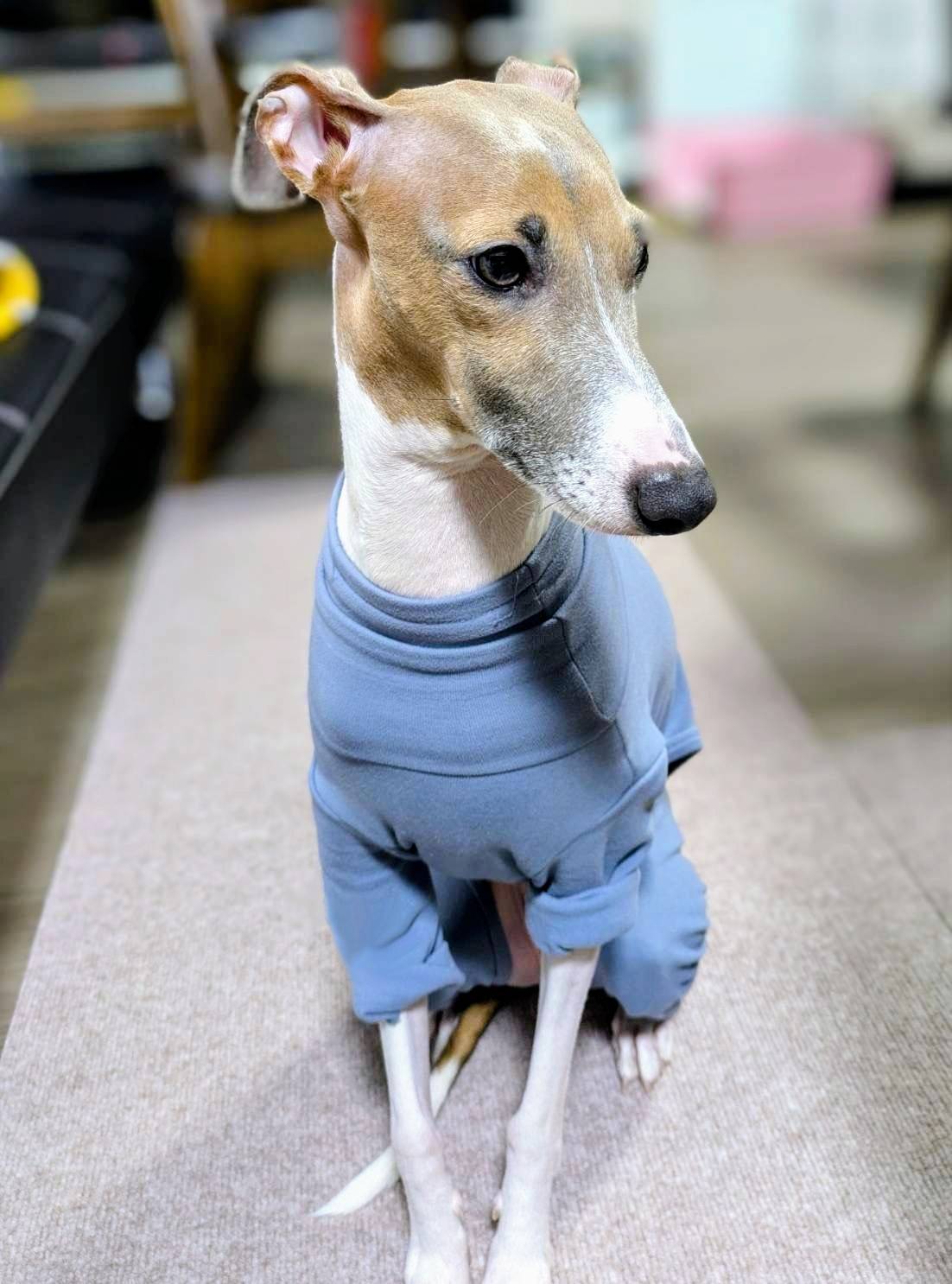 ラック