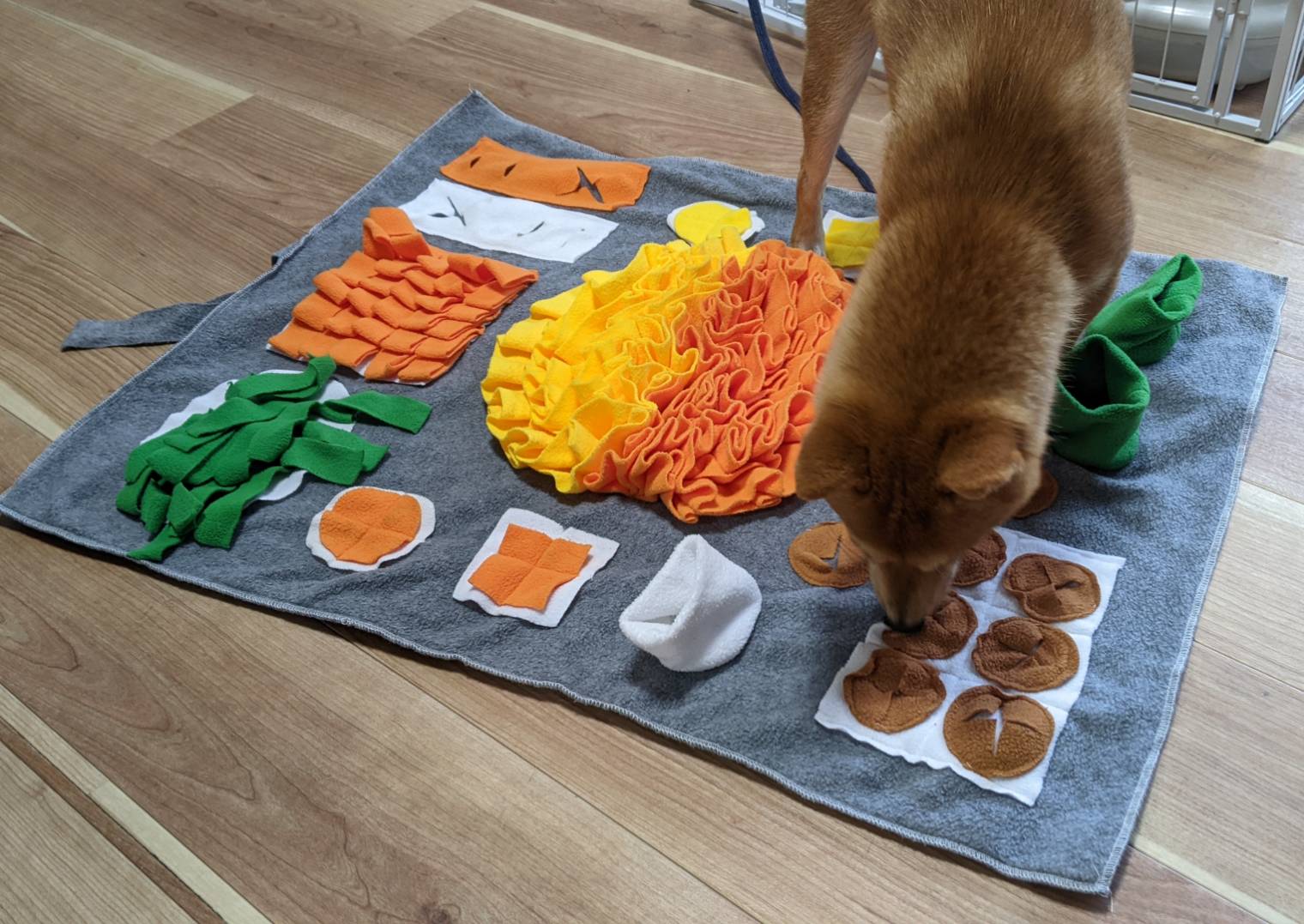 ノーズワークマット