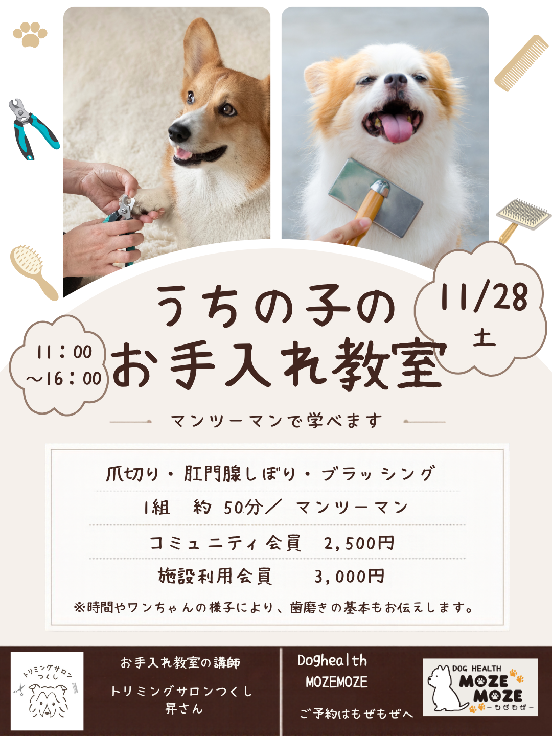 11月28日開催 うちの子のお手入れ教室