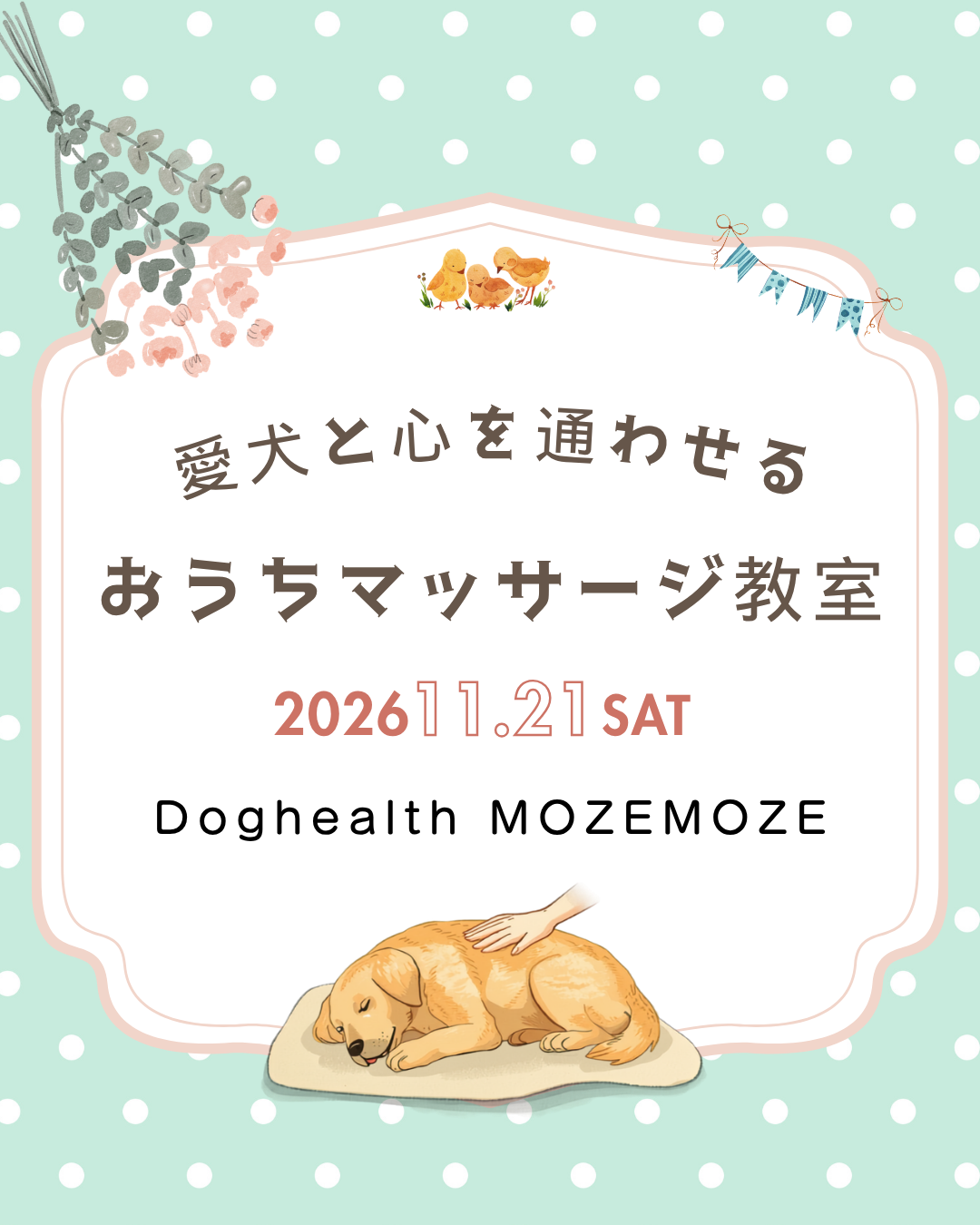 愛犬と心を通わせる おうちマッサージ教室 2026年11月21日開催