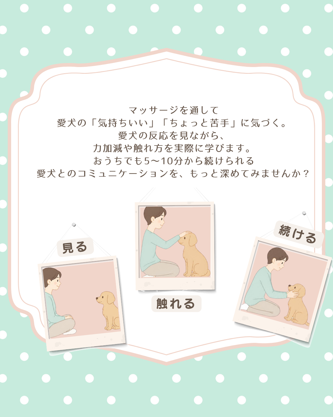 マッサージを通して愛犬を見る・触れる・続ける