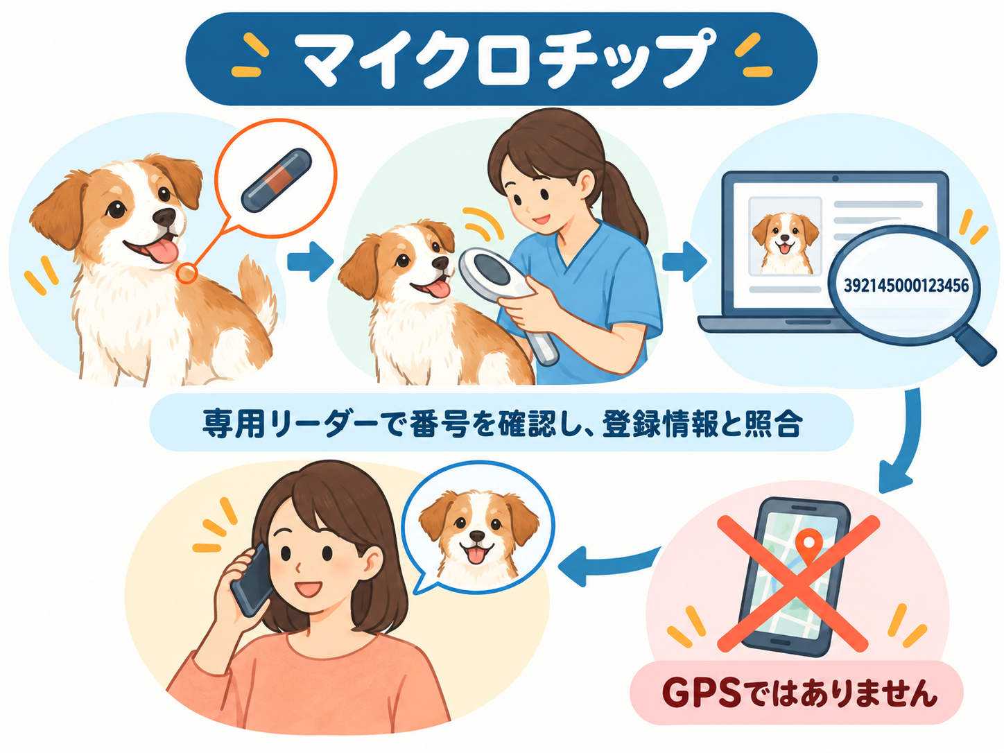 ワンちゃんのマイクロチップを専用リーダーで読み取り、登録情報から飼い主さんを確認する流れ