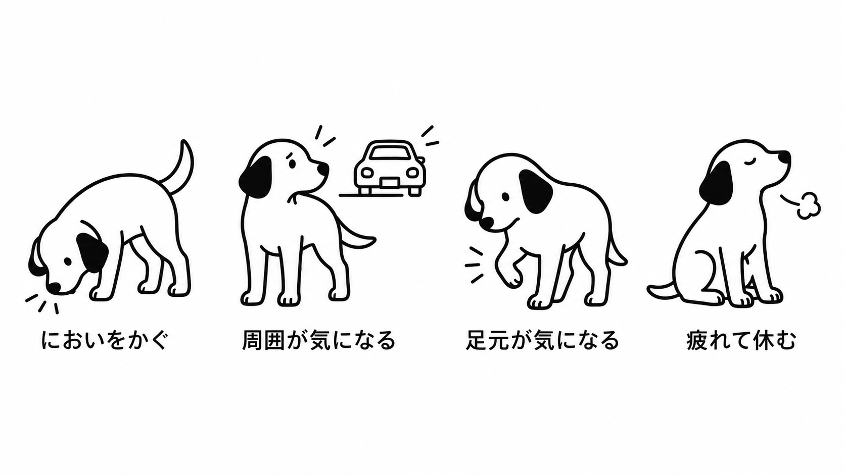 散歩中に立ち止まるワンちゃんの4つの状況