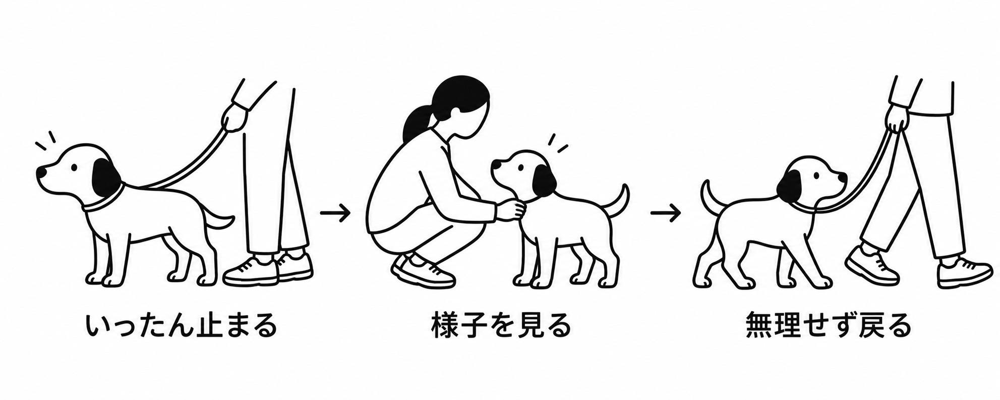 いったん止まる、様子を見る、無理せず戻るという対応手順