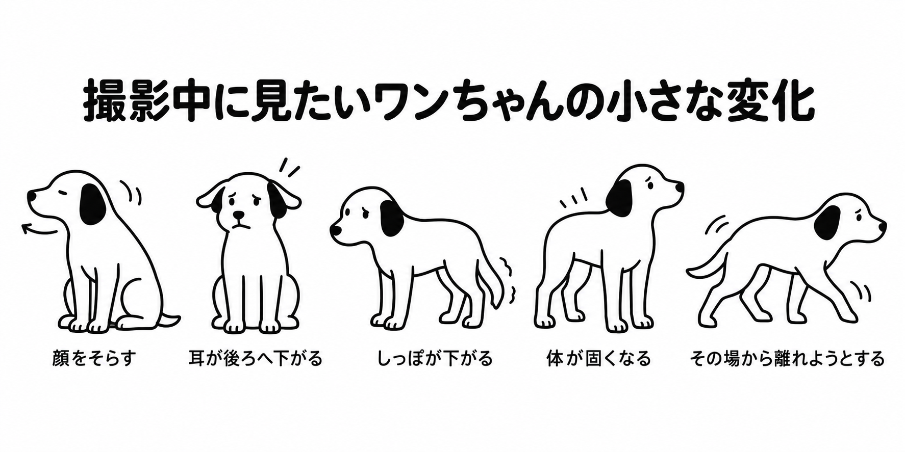 写真撮影中に見られるワンちゃんの小さな変化を説明する白黒イラスト