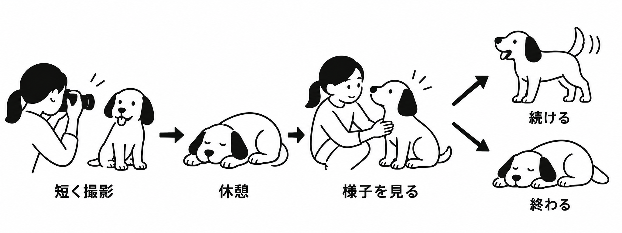 ワンちゃんを短時間撮影して休憩し、様子を見て続けるか終わるか判断する白黒図解